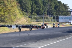 DSC3800