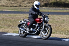 DSC4242