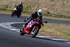 DSC5517