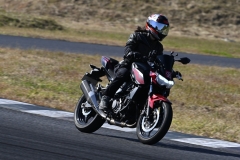 DSC5530